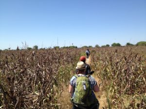 walking-thru-field